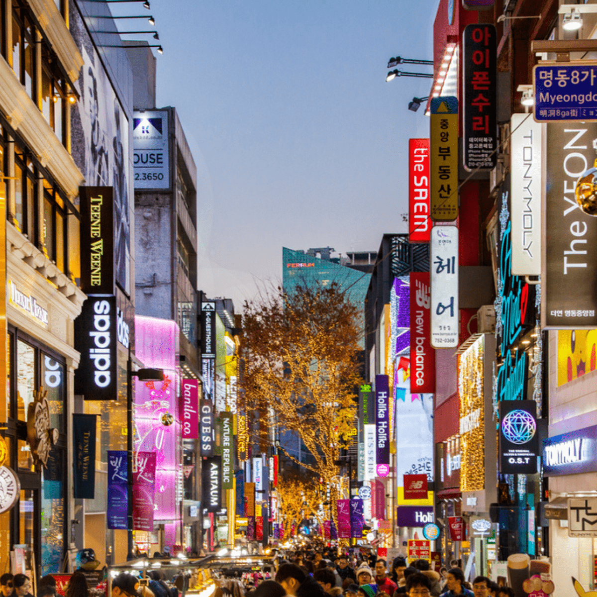 관광명소